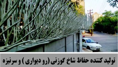 حفاظ شاخ گوزنی همراه با نصب در فشم