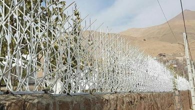 ارتقاء امنیت با حفاظ شاخ گوزنی