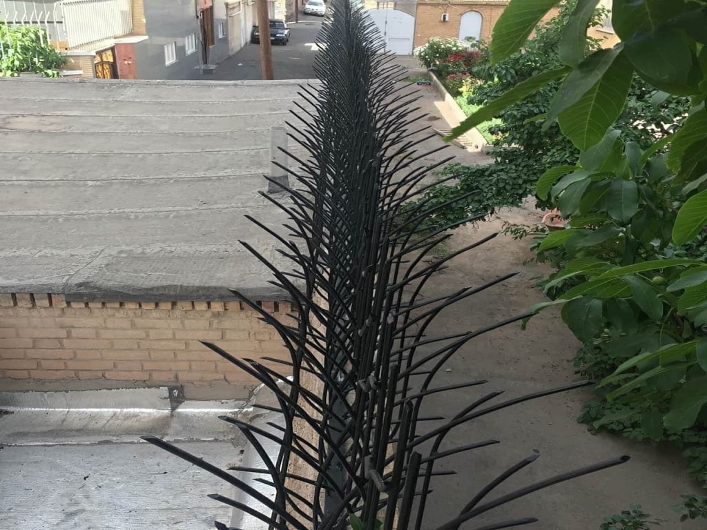خرید حفاظ شاخ گوزنی همراه با نصب در چالوس