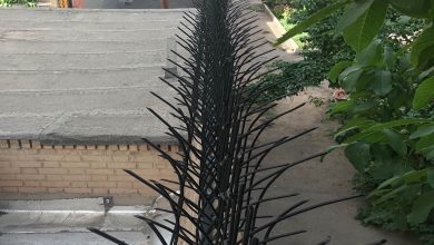 خرید حفاظ شاخ گوزنی همراه با نصب در چالوس