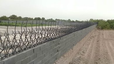 خرید حفاظ شاخ گوزنی همراه با نصب در ملارد