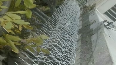 خرید حفاظ شاخ گوزنی همراه با نصب در خرم آباد