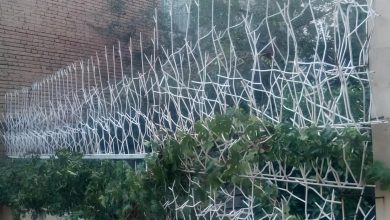 نصب حفاظ شاخ گوزنی – راهنمایی کامل