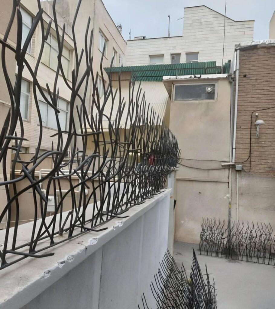 محل مناسب برای حفاظ شاخ گوزنی