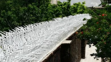 fence-wall-protection-deer-antler-spear-ati