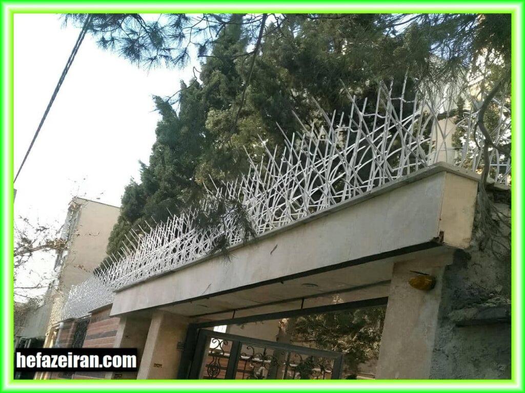مزایای بلندمدت سرمایه‌گذاری در حفاظ شاخ گوزنی