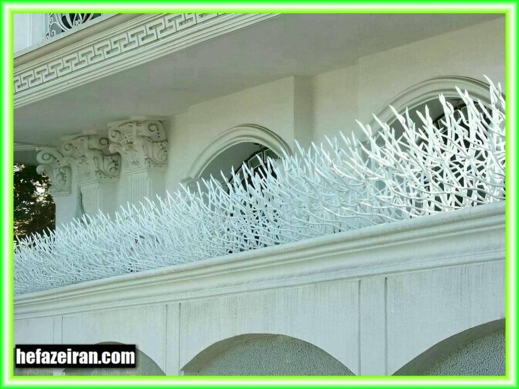 حفاظ شاخ گوزنی بوته‌ای
