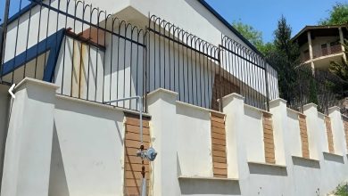fence-wall-protection-deer-antler-spear-fw
