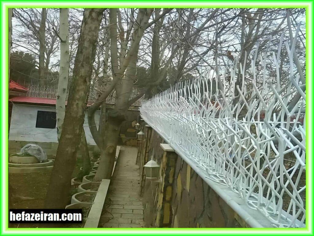 حفاظ شاخی