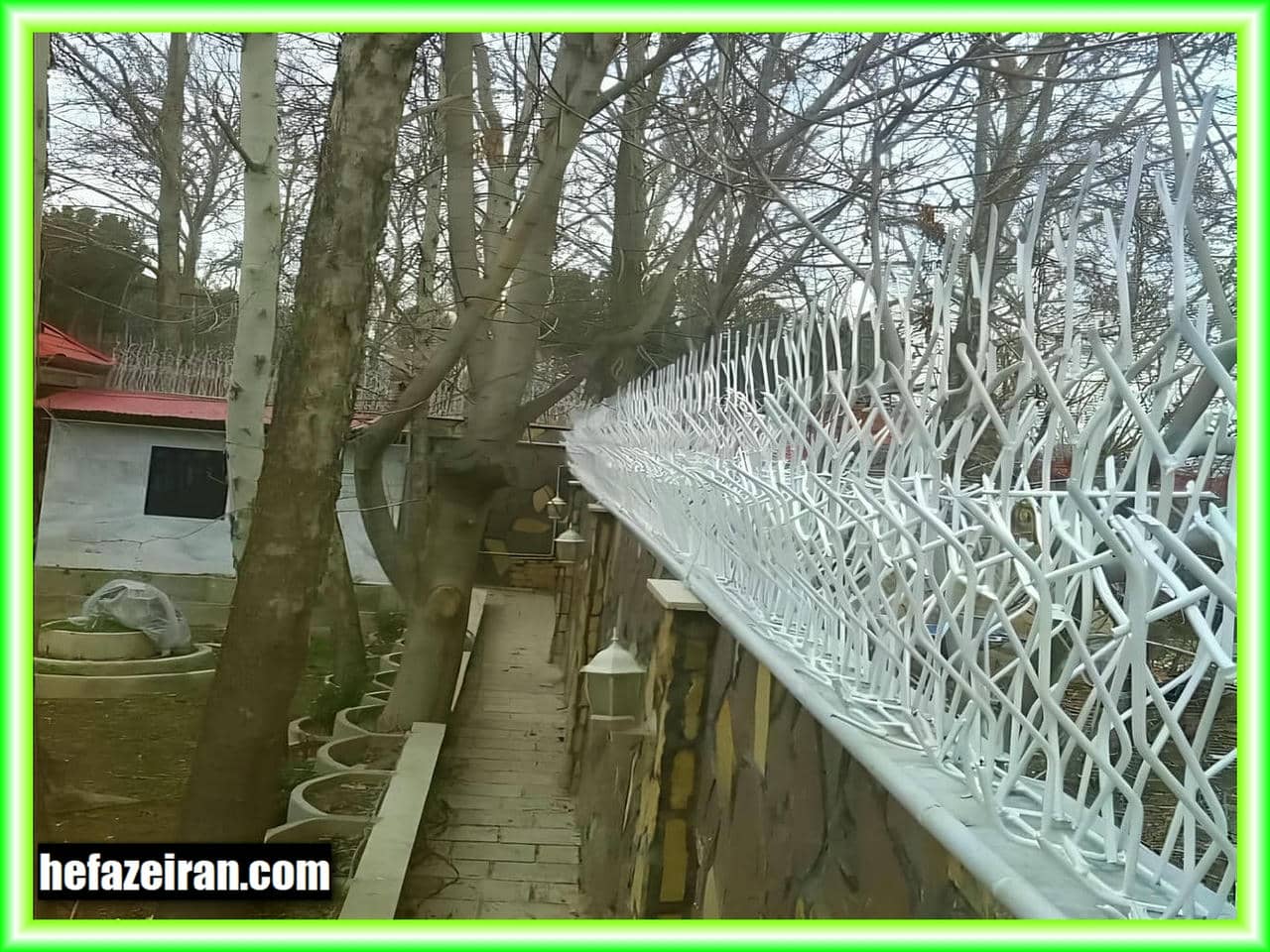 راهنمای خرید حفاظ شاخ گوزنی