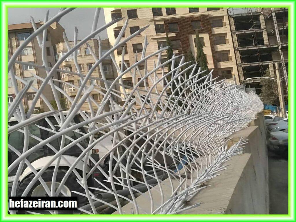 نصب شاخ گوزنی خاردار بر روی دیوار