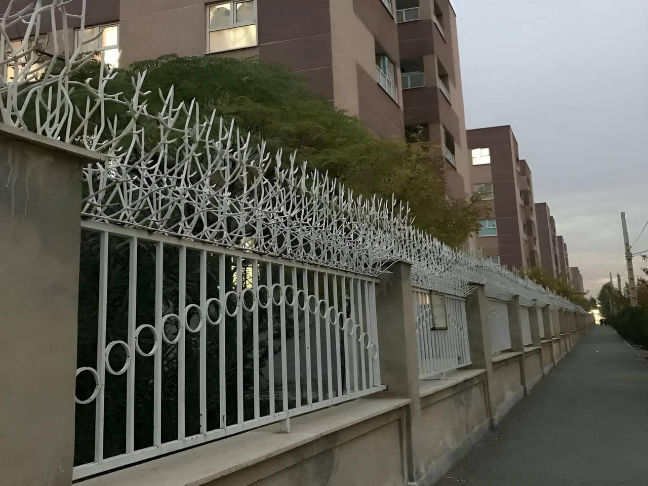 راهنمایی‌های کاربردی درباره عکس حفاظ شاخ گوزنی