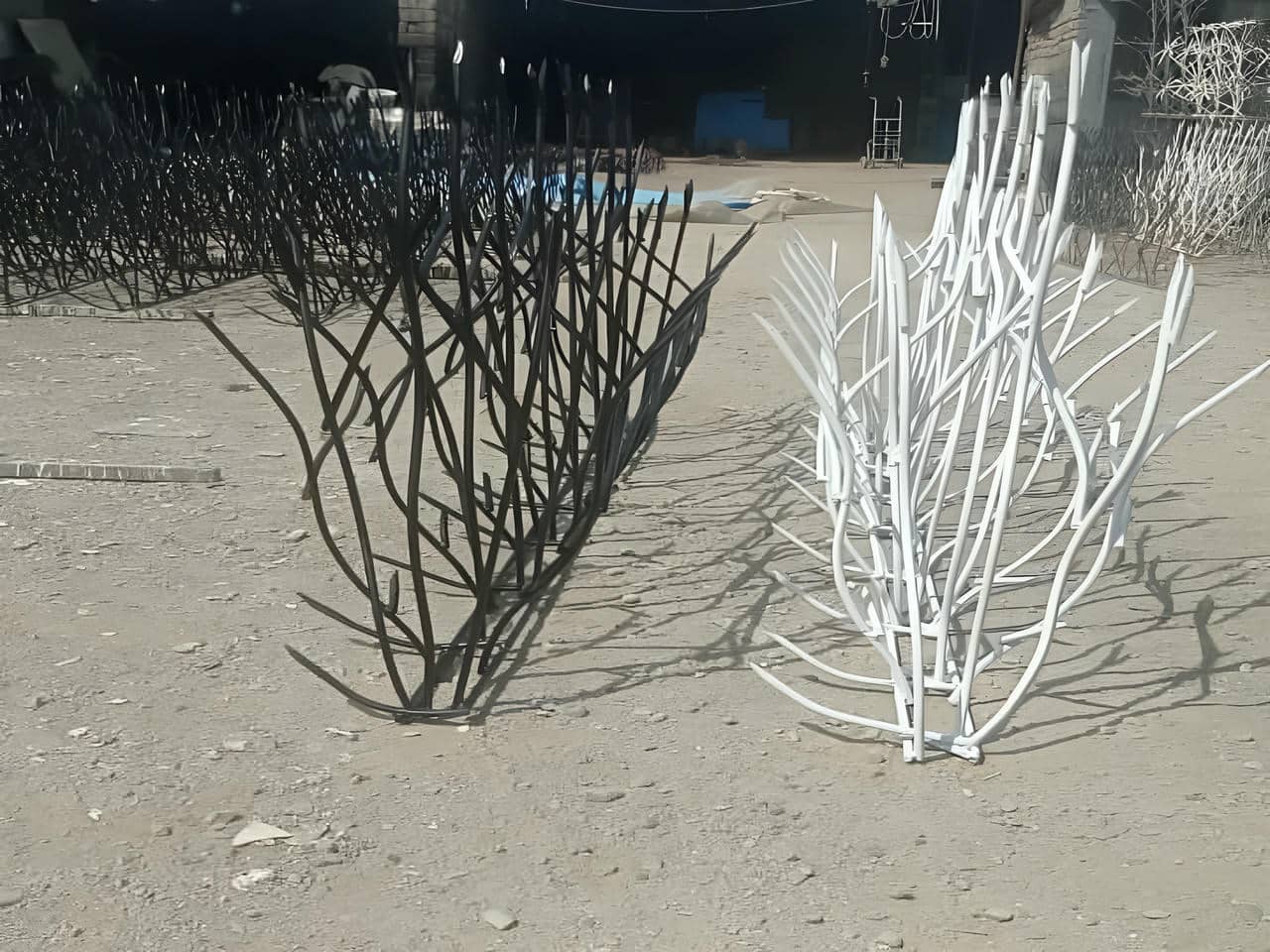 گالری عکس حفاظ شاخ گوزنی