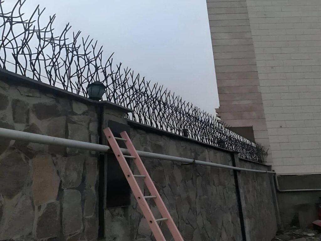 عوامل تأثیرگذار بر قیمت حفاظ شاخ گوزنی