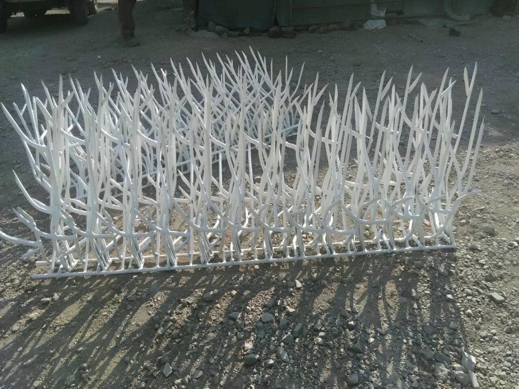 شاخ گوزنی متری چنده؟