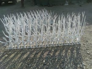 شاخ گوزنی متری چنده؟