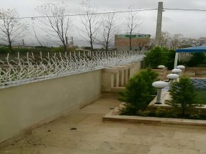 امنیت حفاظ شاخ گوزنی