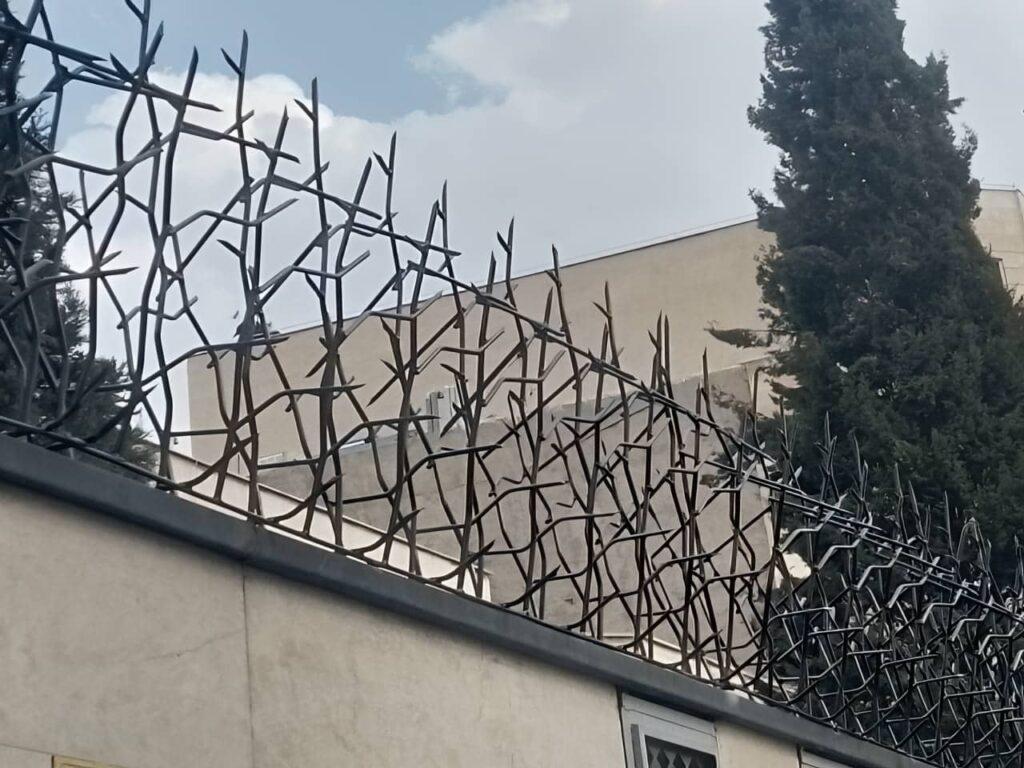 معایب شاخ گوزنی