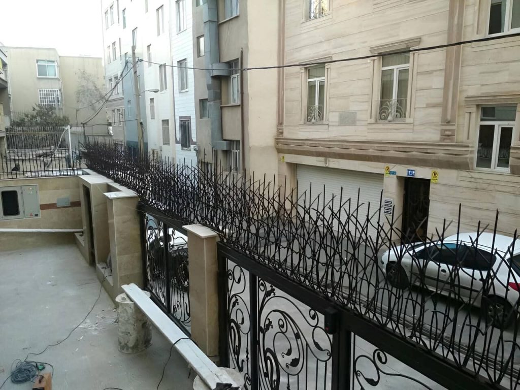 عکس حفاظ شاخ گوزنی