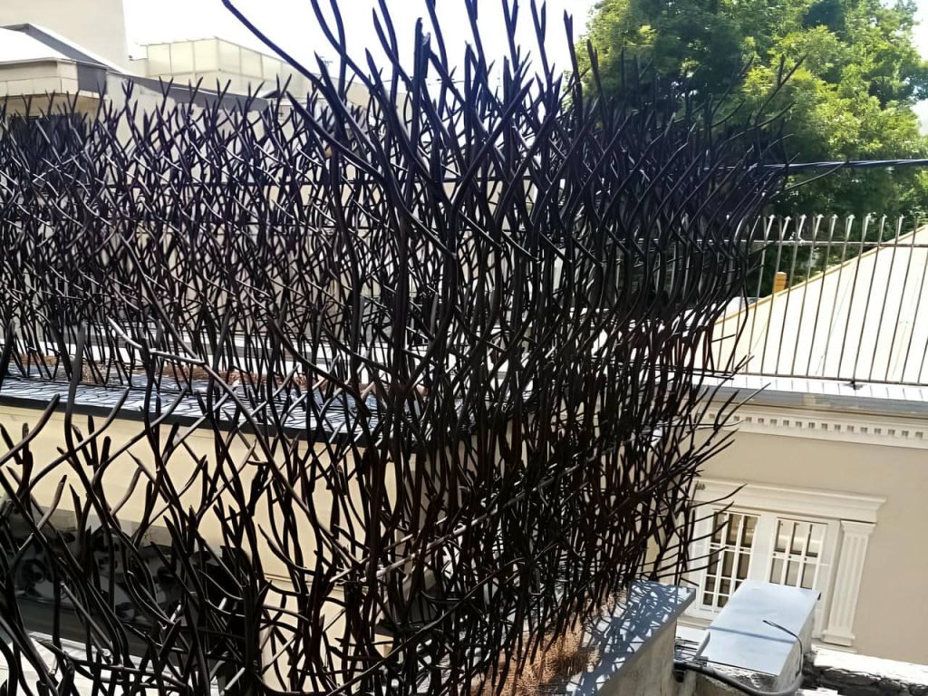 مشخصات حفاظ شاخ گوزنی دیوار