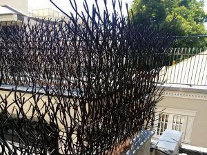 مشخصات حفاظ شاخ گوزنی دیوار