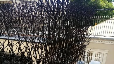 fence-wall-protection-deer-antler-spear-yb