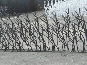 رنگ حفاظ شاخ گوزنی
