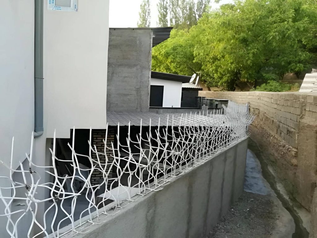 حفاظ شاخ گوزنی منزل مسکونی
