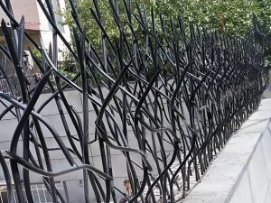 هزینه و ارزش حفاظ شاخ گوزنی