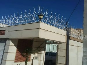 نمونه های زیبا حفاظ شاخ گوزنی