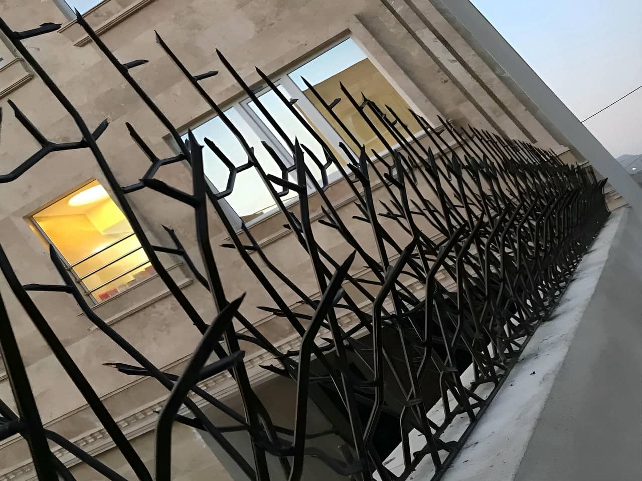 نحوه ثبت سفارش حفاظ شاخ گوزنی
