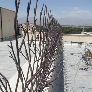 حفاظ شاخ گوزنی پایه بلند