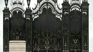 elysee-door-wrought-iron-df