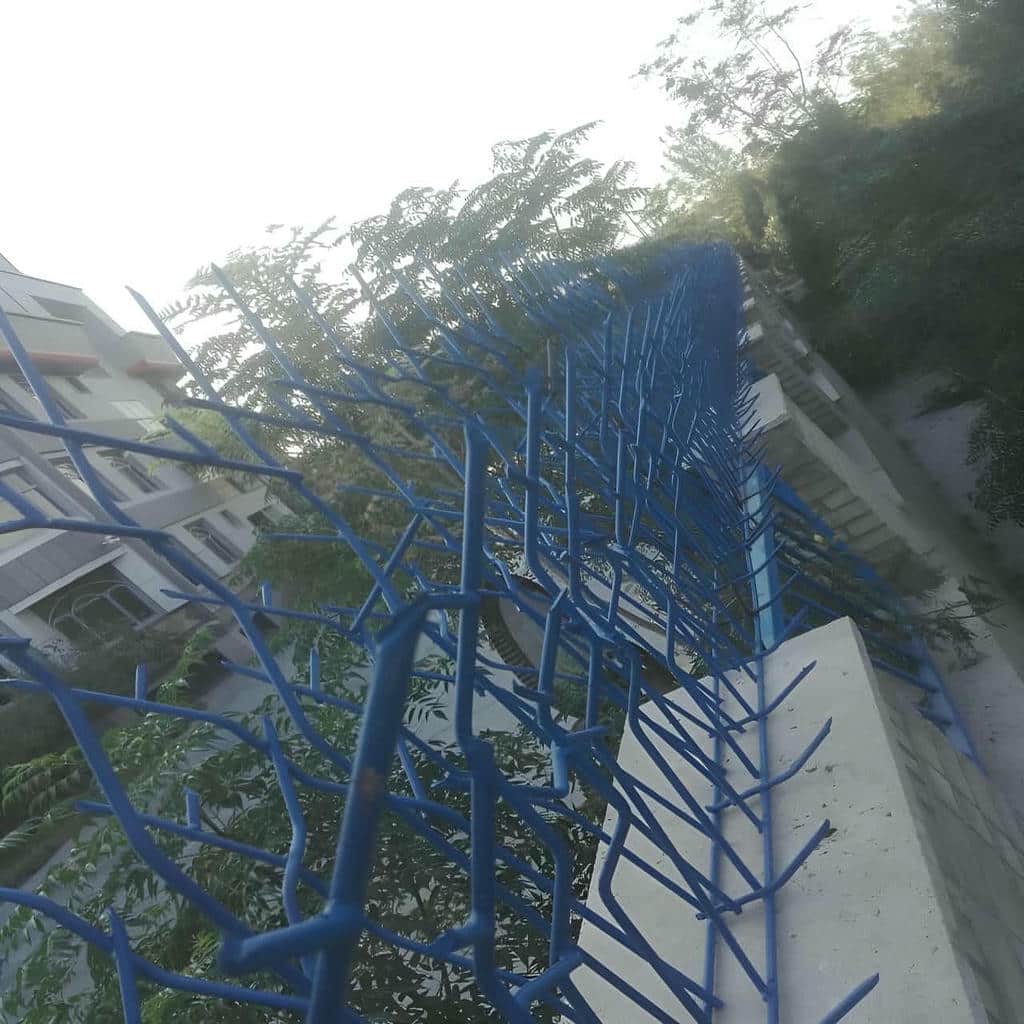 خرید حفاظ شاخ گوزنی شاخه ای در کرمانشاه