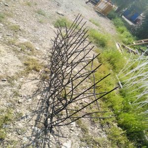 حفاظ شاخ گوزنی در اندیشه