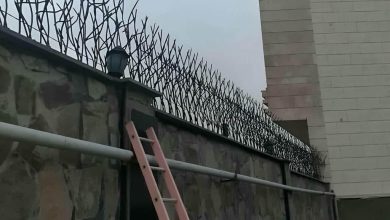 fence-wall-protection-deer-antler-spear-agu