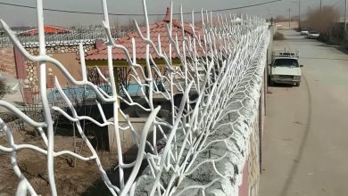 fence-wall-protection-deer-antler-spear-ale