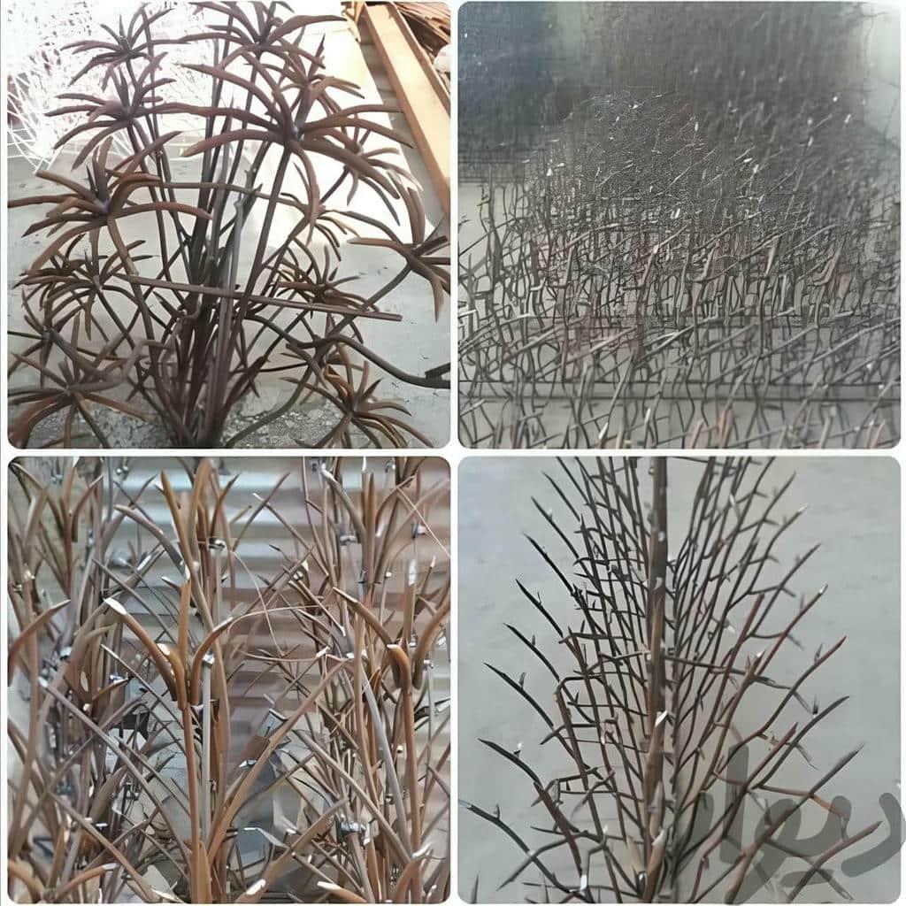 حفاظ شاخ گوزنی در ساوه