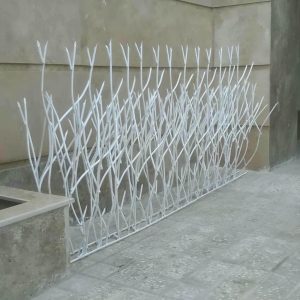 حفاظ شاخ گوزنی در بندرعباس