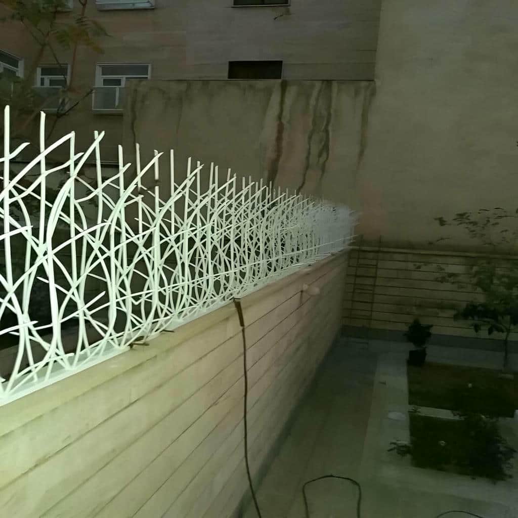 حفاظ شاخ گوزنی در فشم