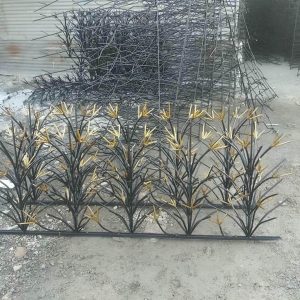 حفاظ شاخ گوزنی در تهران