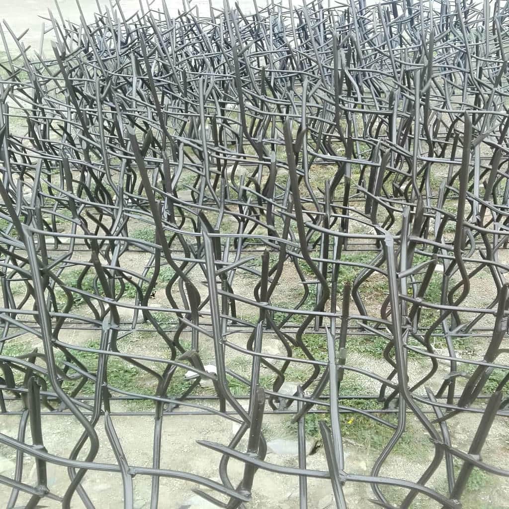 کارخانه حفاظ شاخ گوزنی دوام جوی در بجنورد