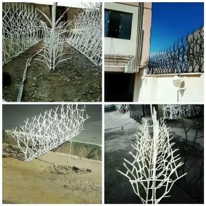 حفاظ شاخ گوزنی در هشتگرد