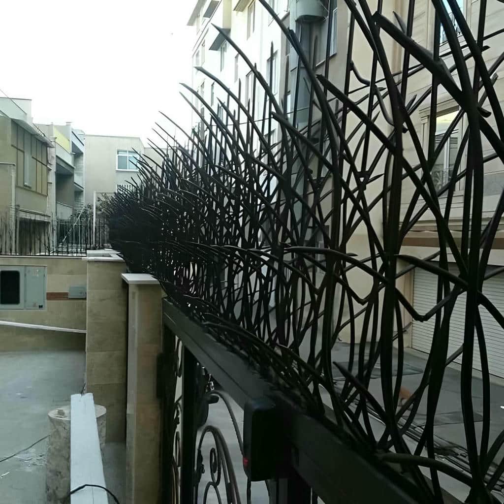 کارخانه حفاظ شاخ گوزنی دوام جوی در بابل
