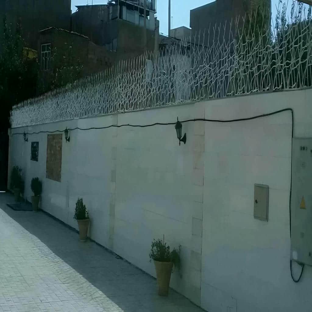 خرید حفاظ شاخ گوزنی شاخه ای در پردیس