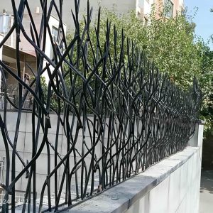 حفاظ شاخ گوزنی در ایرانشهر