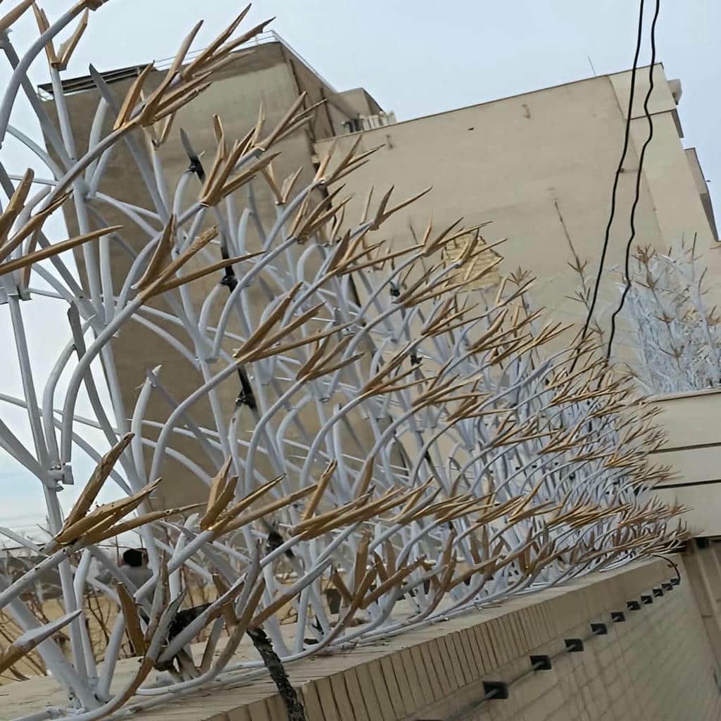 خرید حفاظ شاخ گوزنی شاخه ای در سیرجان