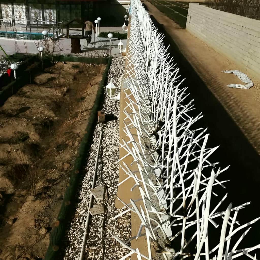 خرید حفاظ شاخ گوزنی شاخه ای در خرم آباد