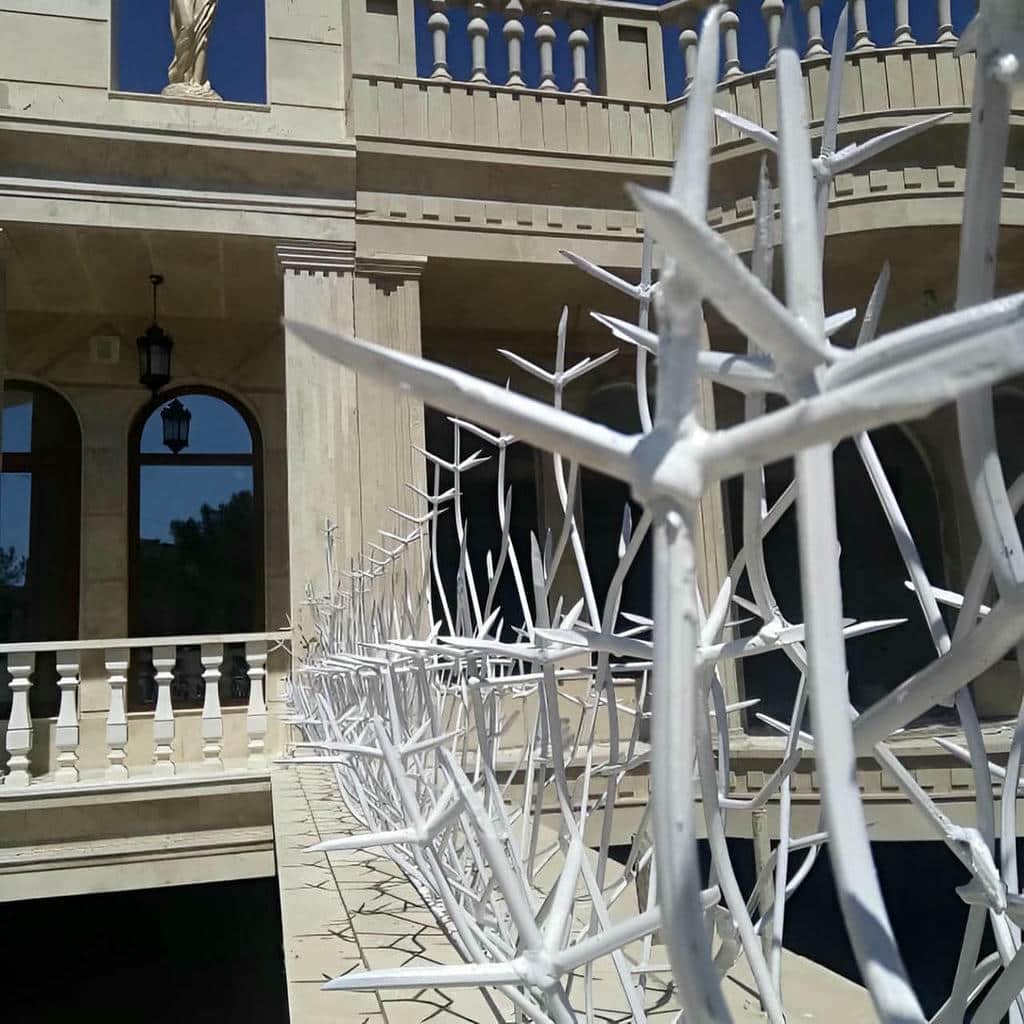خرید حفاظ شاخ گوزنی شاخه ای در فشم