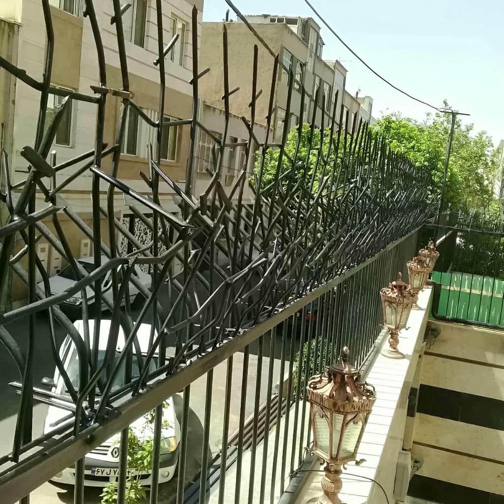 حفاظ شاخ گوزنی در محمودآباد